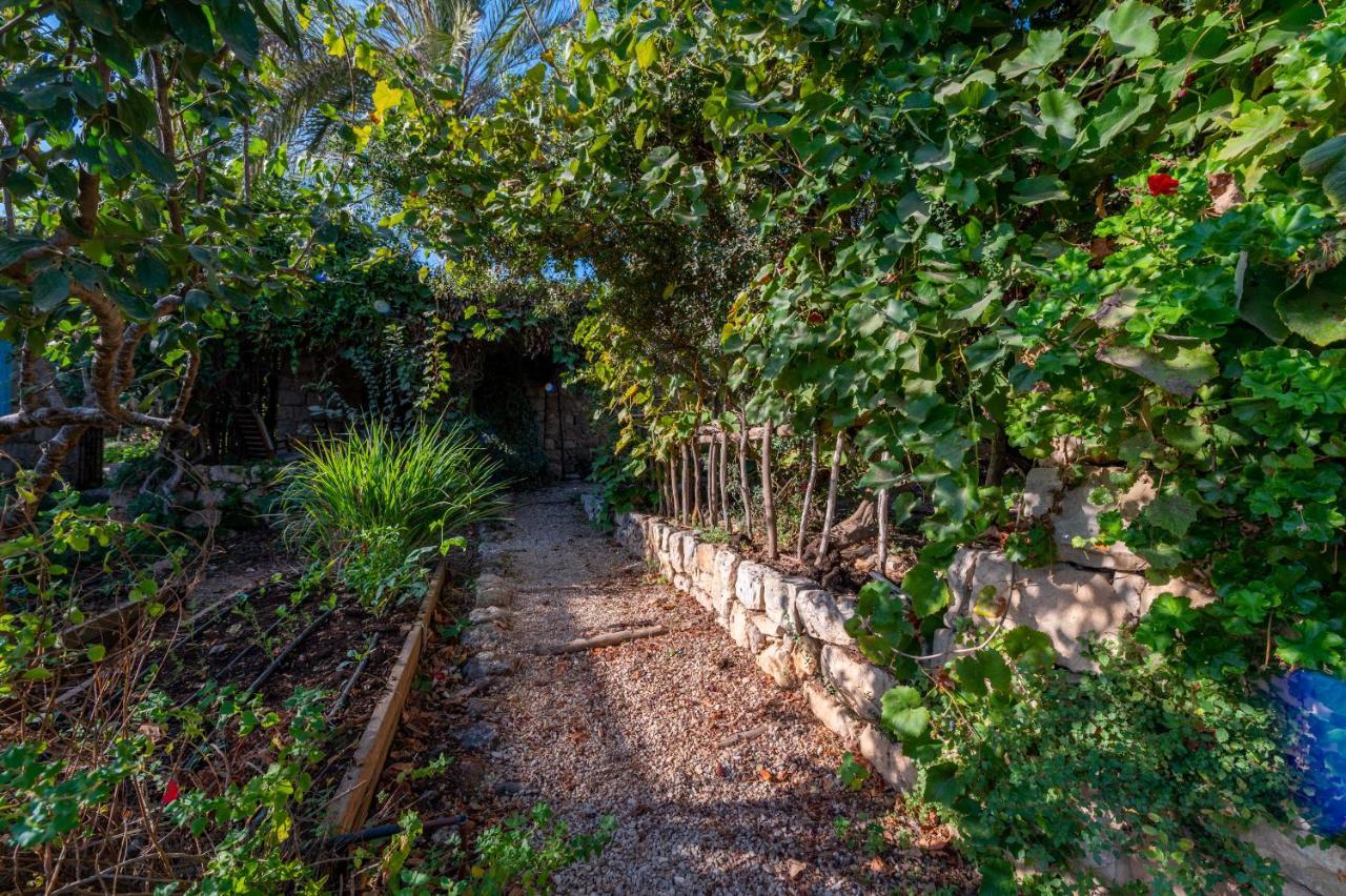 Hemdatya Stone Suites In The Galilee Ilaniya المظهر الخارجي الصورة