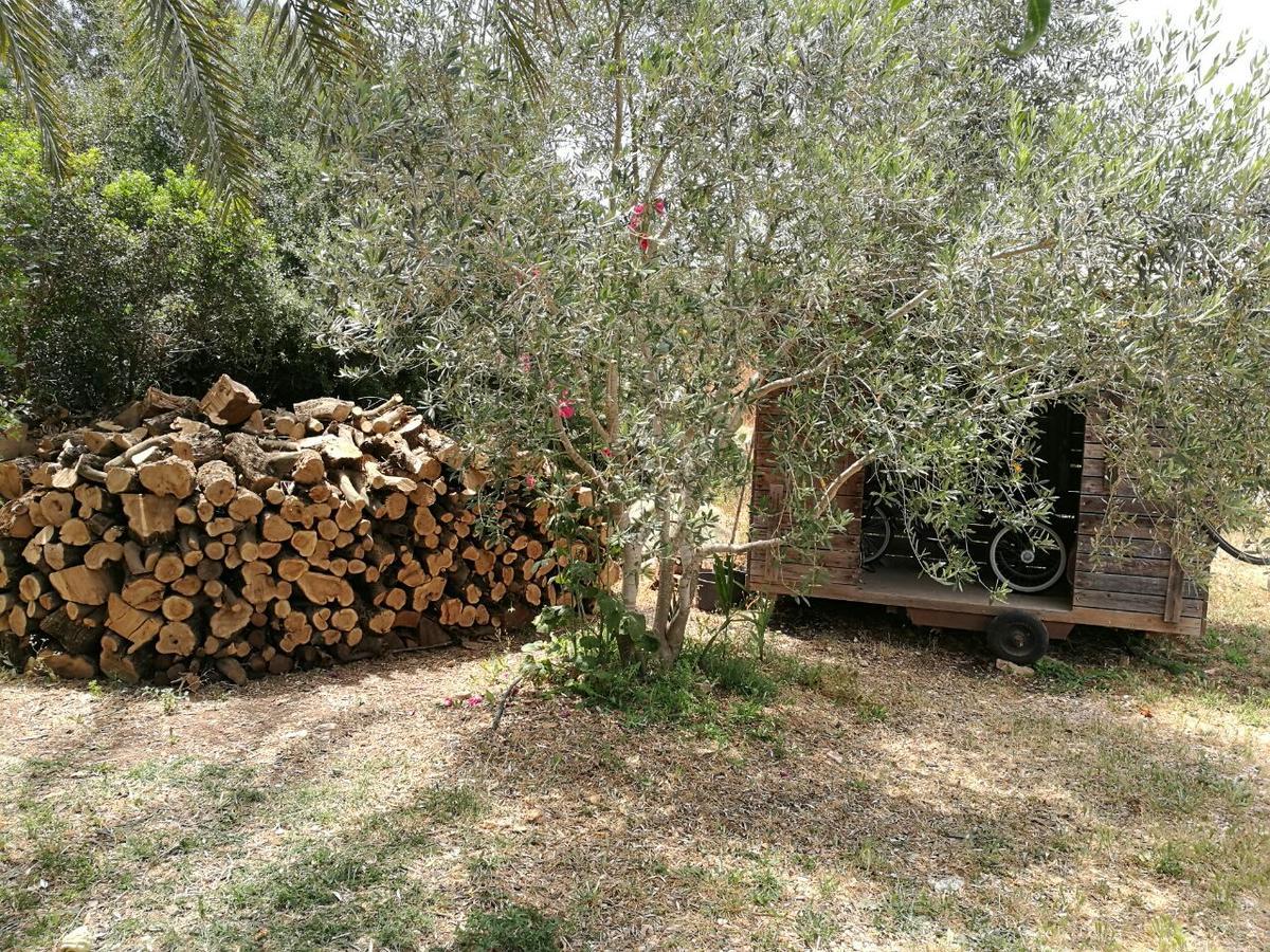 Hemdatya Stone Suites In The Galilee Ilaniya المظهر الخارجي الصورة