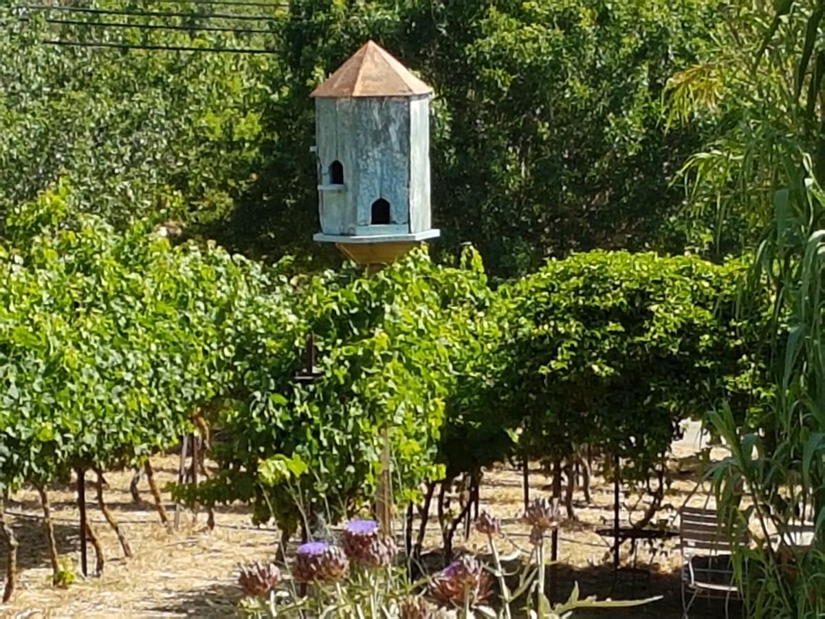 Hemdatya Stone Suites In The Galilee Ilaniya المظهر الخارجي الصورة