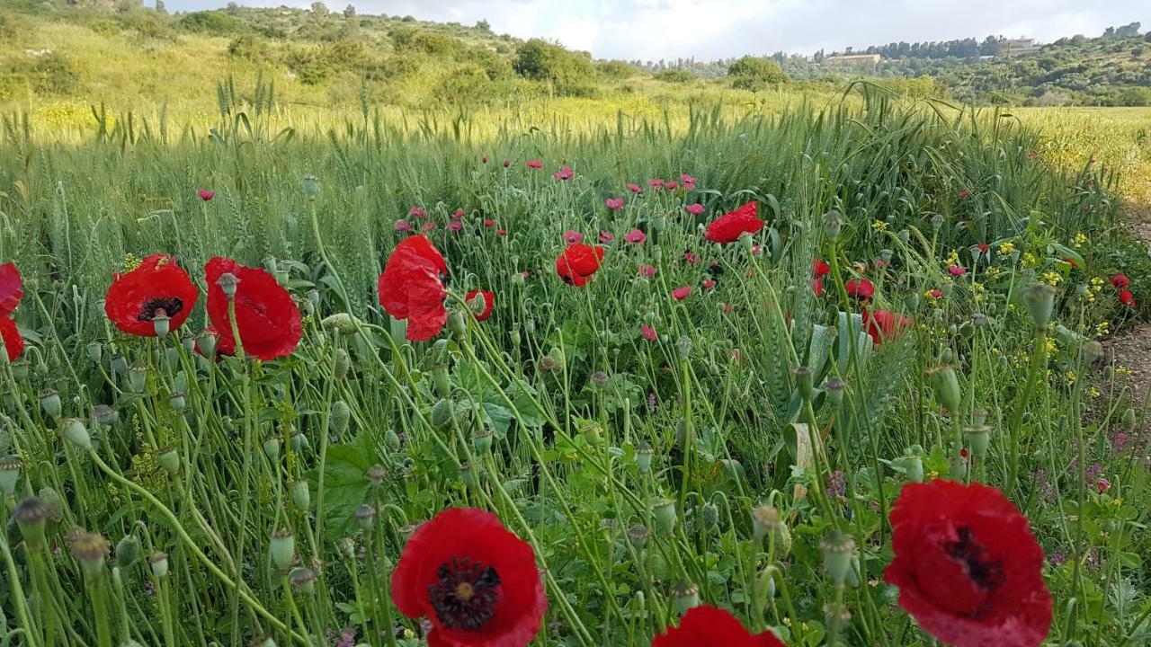 Hemdatya Stone Suites In The Galilee Ilaniya المظهر الخارجي الصورة